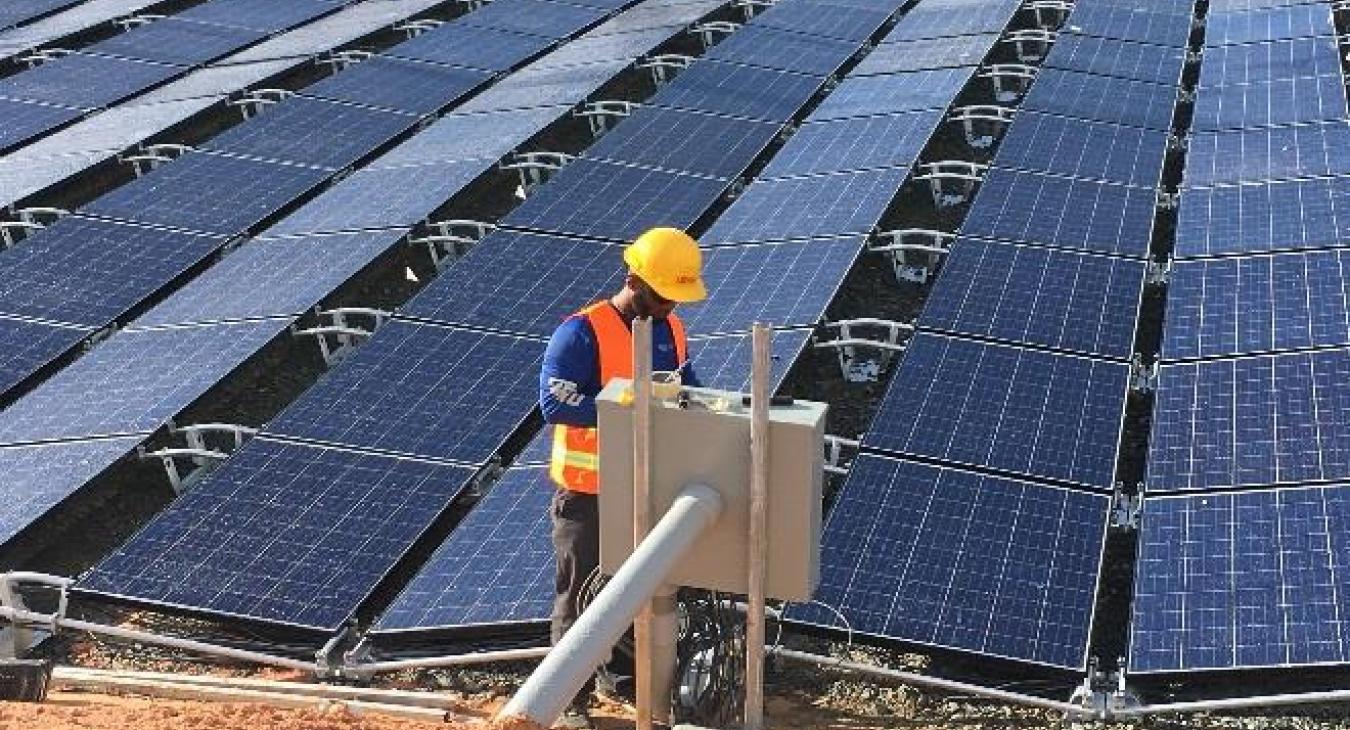 Worker inspecting solar panel array